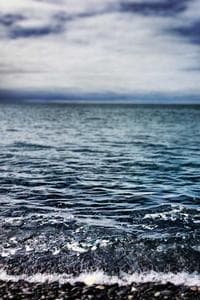 Logo of AP Art History